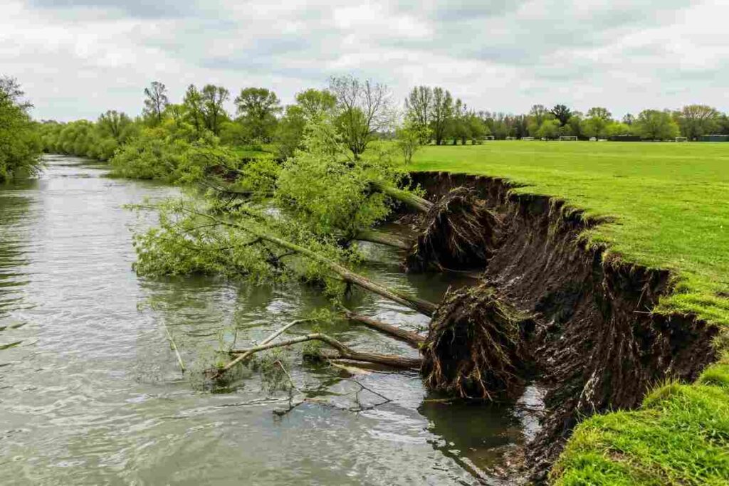 Riverbank Collapse Iford Playing Fields showing fallen trees and exposed soil along the River Stour