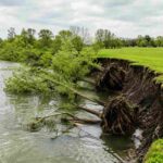 Riverbank Collapse Iford Playing Fields showing fallen trees and exposed soil along the River Stour