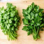 Fresh koriandri and parsley leaves side by side showing their visual differences