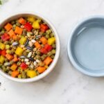 How to keep pet birds healthy and active with a balanced diet of seeds and vegetables
